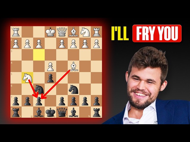 How Magnus Carlsen Punishes the Fried Liver Attack