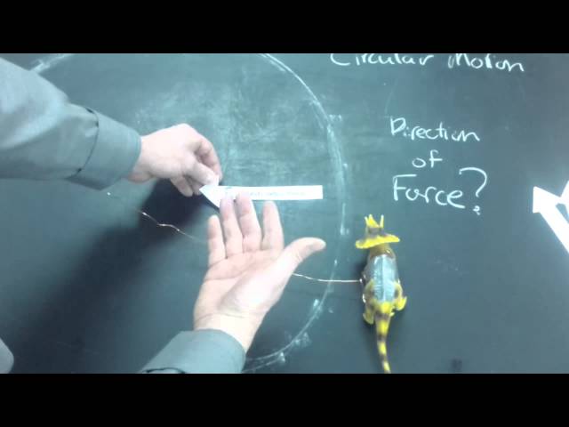 Debrief:The direction of Centripetal Force