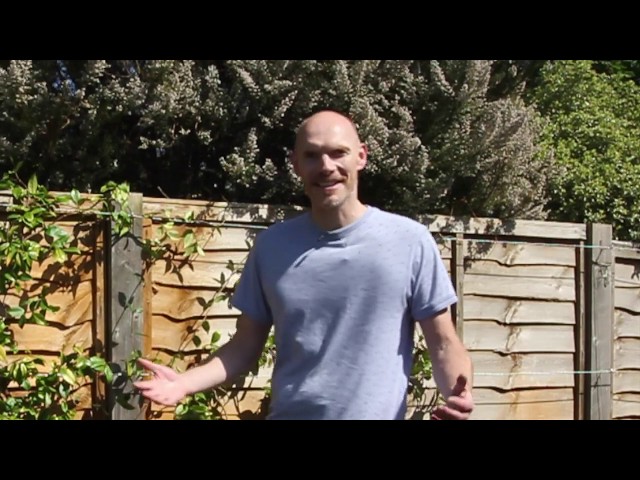 How to install tension wires on a fence for successfully growing climbers