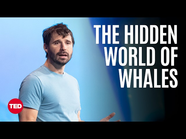 A Whale’s-Eye-View of the Ocean | Eric Stackpole | TED