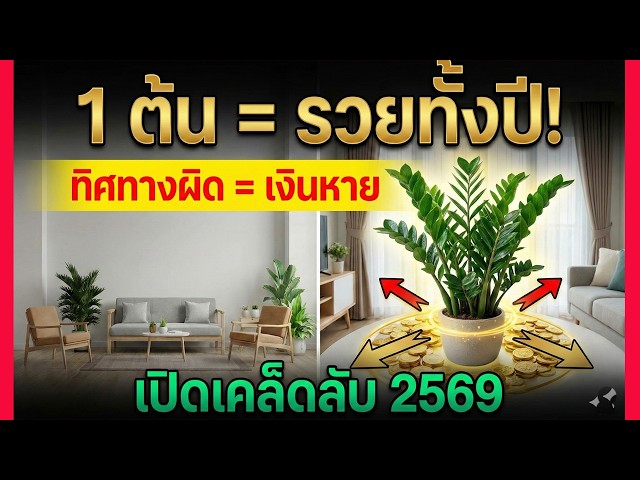 🪴ฮวงจุ้ยบ้าน!💰🌿กวักมรกต 1 ต้น ร่ำรวยทั้งปี! เคล็ดลับทิศทางและการจัดวาง 2569
