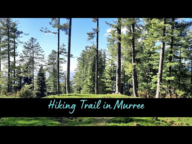 Hiking trail in Murree