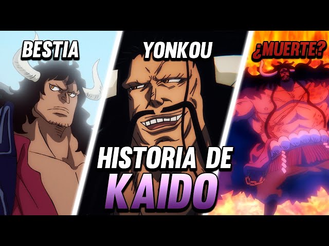 Kaido: The World's Most POWERFUL BEAST! - One Piece History and Evolution