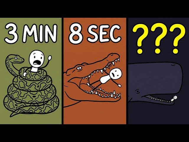 How Long You'd Last Inside Every Animal That Could Swallow You