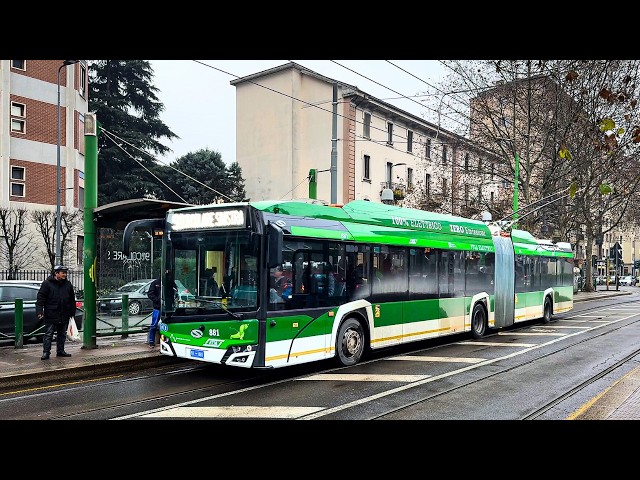 Trolleybuses in Milan, Italy 🇮🇹 | 2025