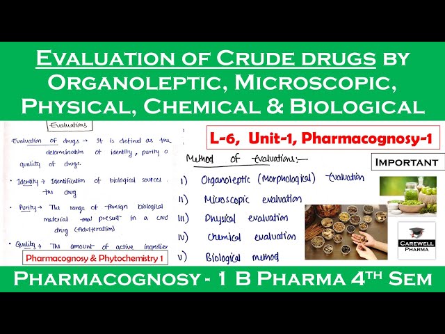 Evaluation of crude drugs || Quality control of crude drugs || L-6 U-1 || pharmacognosy 4th semester