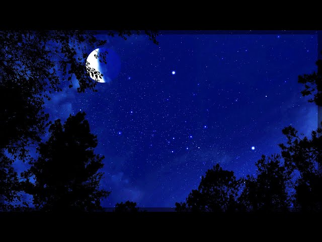 Cricket Conversations | 10 Hours of Crickets | Binaural Nighttime Ambience | Nature Sleep Sounds