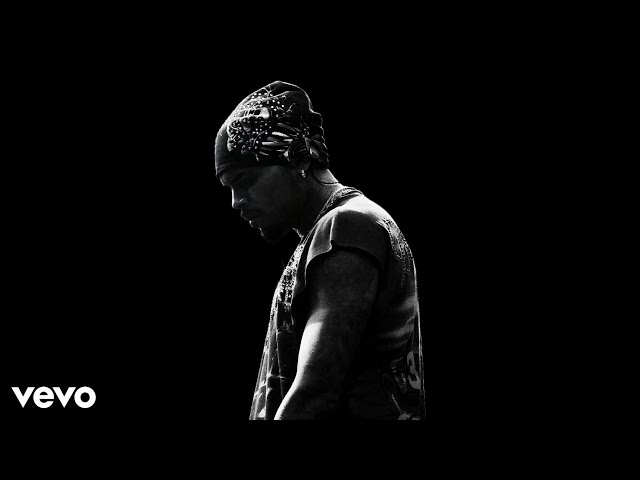 Chris Brown - Levels (Unreleased Song)