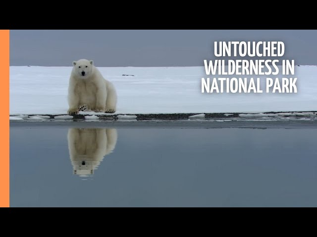 Untouched Wilderness in America's Northernmost National Park - Gates of the Arctic |Full documentary