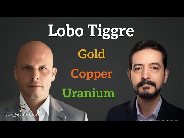 Lobo Tiggre: Analyzing 2025's Commodities  Gold, Copper, and Uranium
