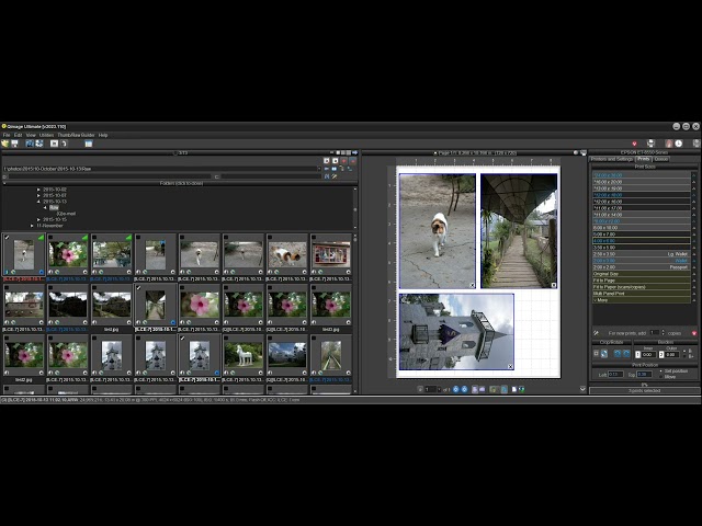 Qimage Ultimate - Getting Started
