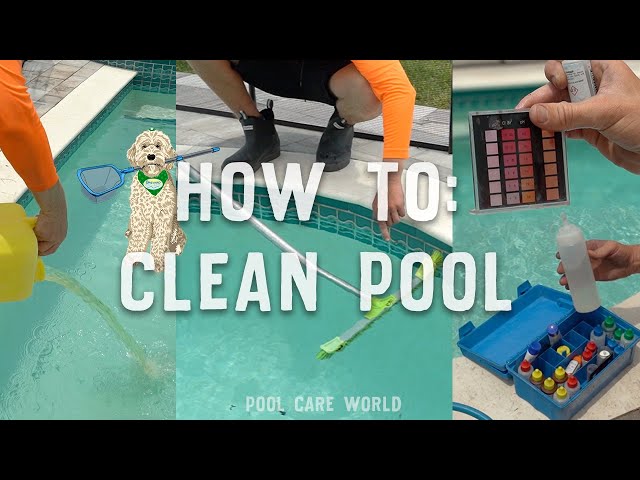 HOW TO CLEAN A POOL : WEEKLY SERVICE TRAINING