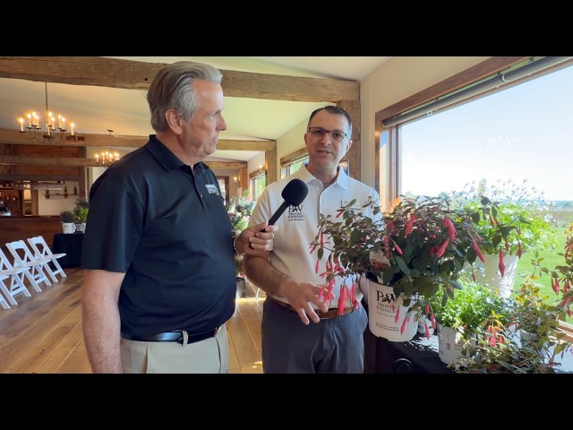 New Proven Winners Annuals for 2027 and Beyond