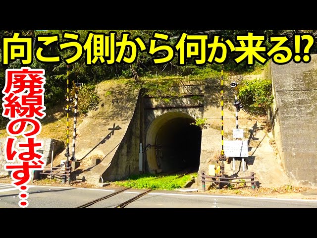 [Abandoned or still in operation?] We observed the surprising current state of a freight line whe...