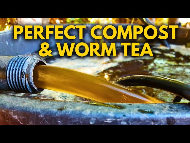 The Secrets to Making Perfect Compost & Worm Tea Every Time