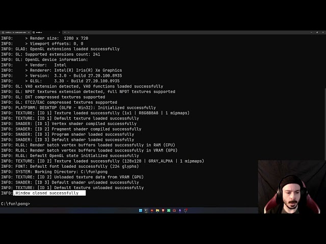 Window, Loop, Data, Input - Building Pong in Odin and Raylib with the System Stack #1