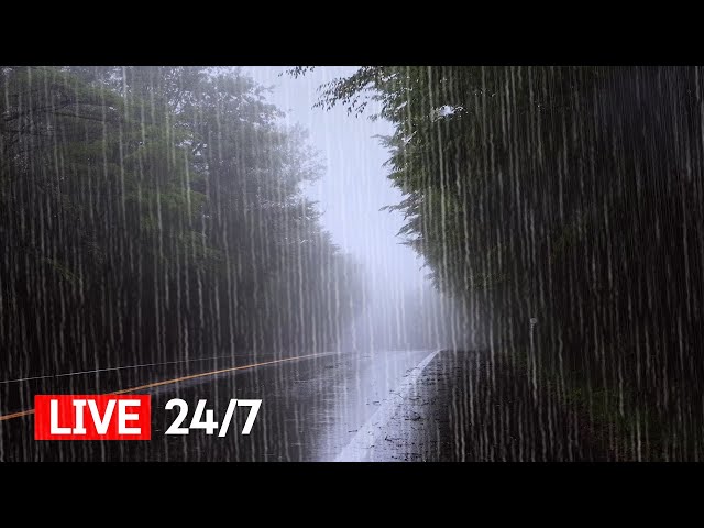Heavy Rain Sounds Live | White Noise for Insomnia & Tinnitus Relief | Deep Sleep, Focus & Relaxation