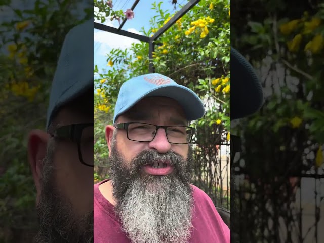 Your Lawyer Did What For You? Verify Your Source