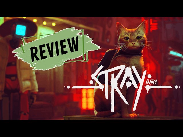 Stray - A Review for the Casual Gamer