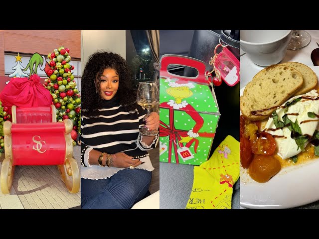 VLOGMAS~I’M SO LOST*WINE TASTING*I CAUGHT A THIEF*AM I WRONG? GRINCH MEAL