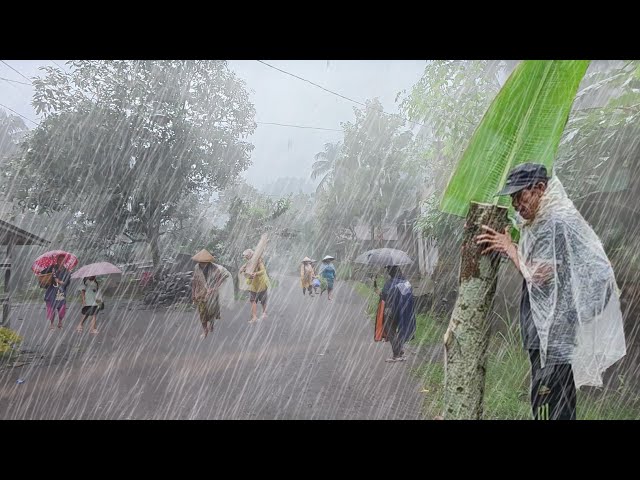 Very Cold Super Heavy Rain Thunder in Java Mountain Village | Rain For Sleep and Peaceful | Relaxing