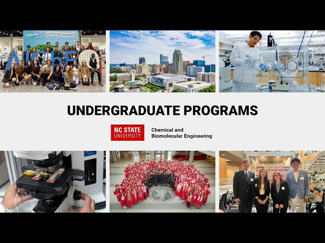 Chemical & Biomolecular Engineering Undergraduate Programs at NC State