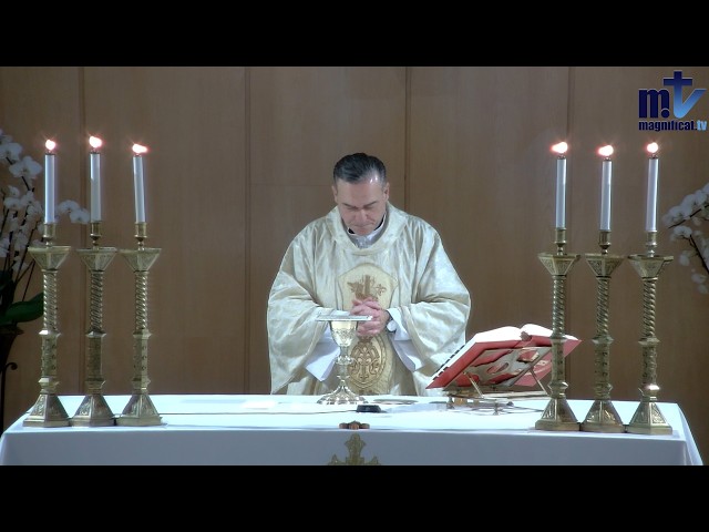 La Santa Misa de Hoy | Solemnidad de la Santísima Trinidad (31-05-2026) | Pbro. Javier Martín, FM