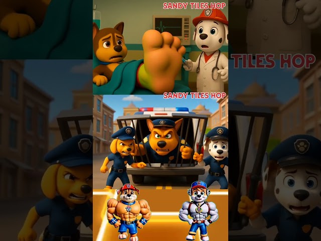 Paw Patrol Scary Chase 🆚 Ryder 🆚 Marshall Fun X Dance Cover | Tiles Hop _ ep 119 #pawpatrol #shorts