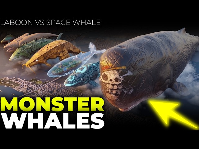 How Big is Laboon? | Laboon vs Space Whale & Monster Whales Comparison