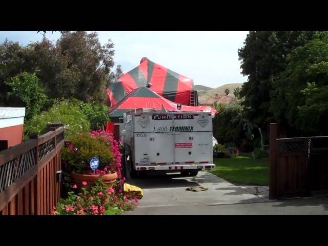terminix fumigation 5-20-10 , the tenting process