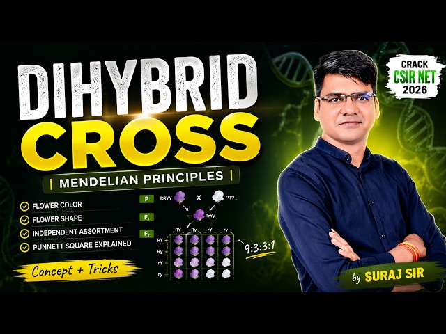 Dihybrid Cross | Principles of Mendelian Inheritance | CSIR NET 2026