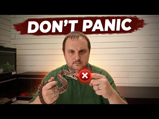 What to Do If Your Pet Snake Bites You (Don't Make This Mistake!)