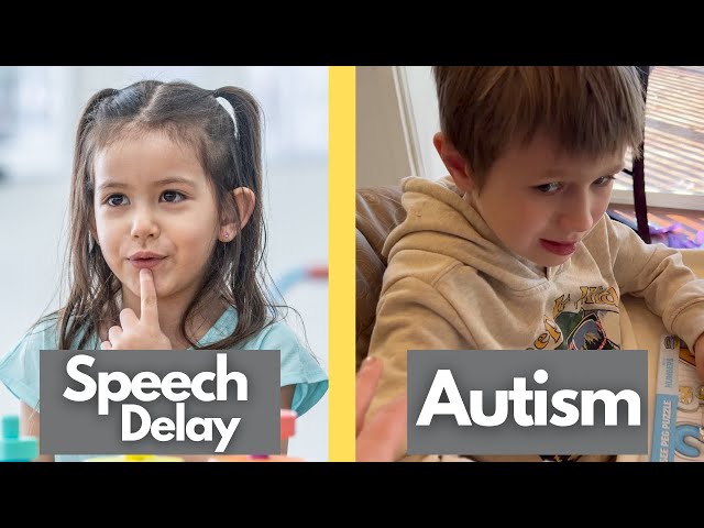 What's the difference between Speech Delay and Autism?