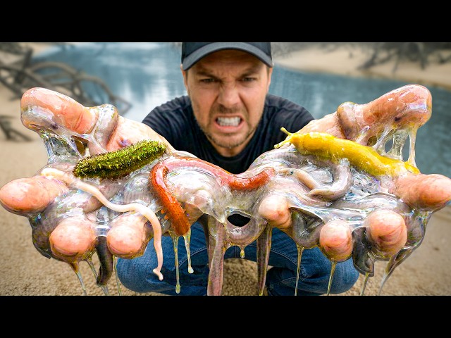 We Found the World’s Slimiest Animals!