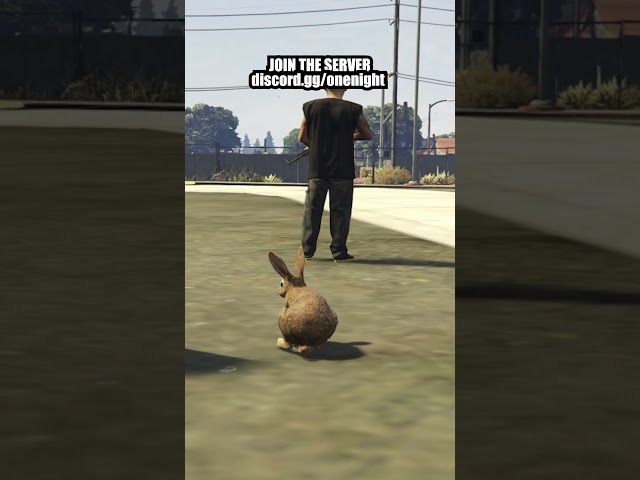 Bunny Trolling in GTA 5
