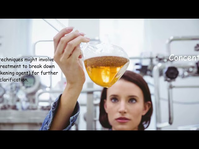 Apple Juice Concentrate Production Process