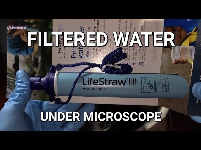 Testing The Lifestraw Under Microscope