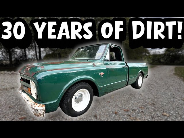 I Can't Believe How Good This Old Paint Looks Now