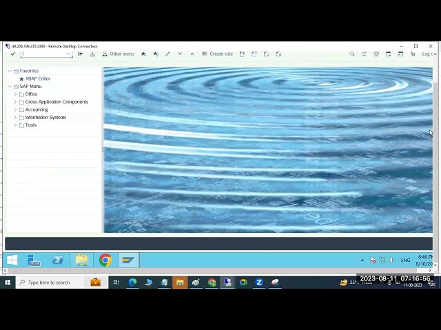 SAP BASIS - ENQUEUE and BACKGROUND  WORKPROCESS