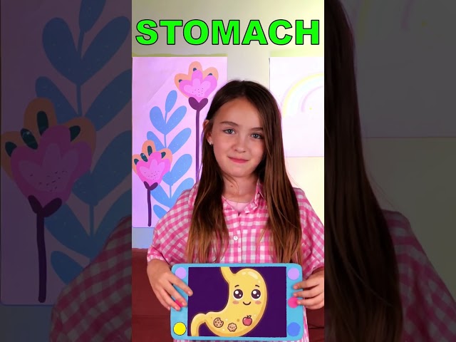 🫀🍭 Let’s See What Our Organs Do Inside the Body! #shorts #kids