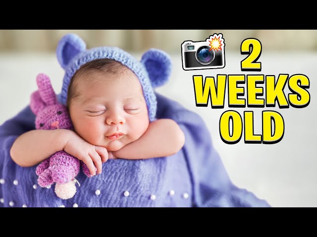 ¡La primera sesión de fotos de Baby Blu! *2 semanas de edad*