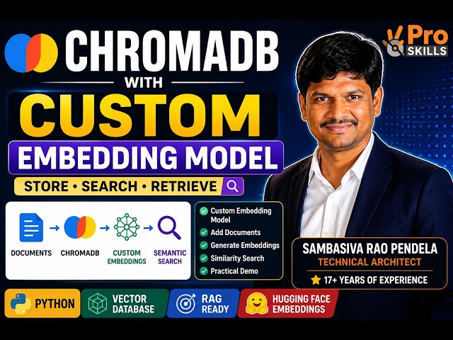 ChromaDB with Custom Embedding Model | Store & Search Your Own Embeddings | Python Tutorial