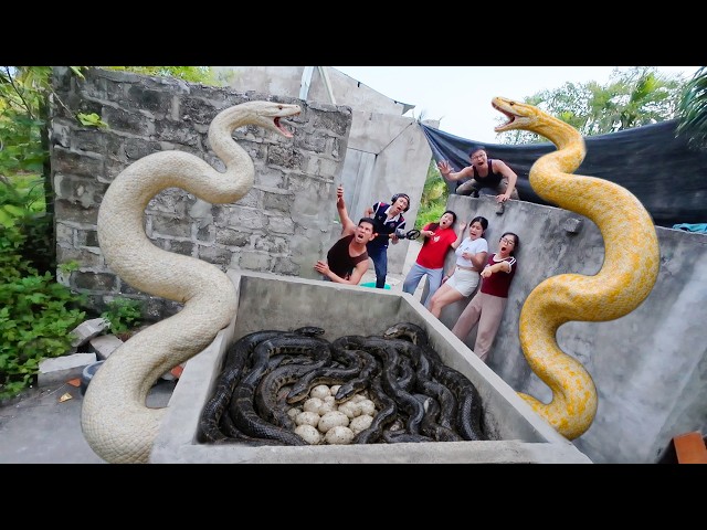 Brave Soldiers Use High-Tech Snake Detectors to Locate 100 Giant Pythons