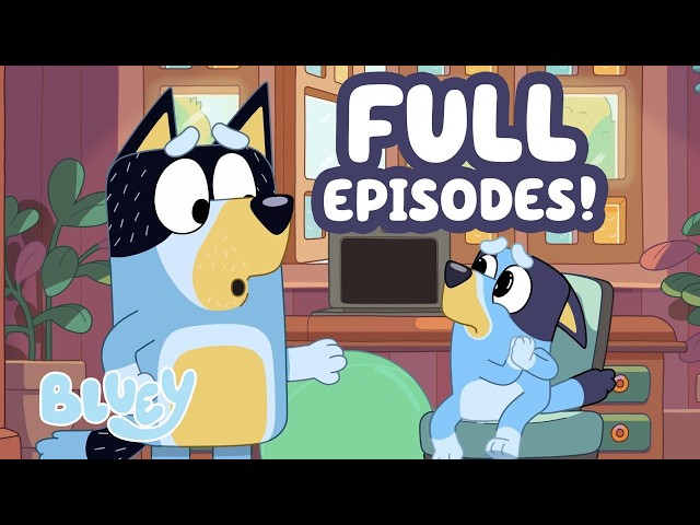 Bluey Shows Dad her Please Face 🥺 💙 | Full Episode Compilation ⭐️ | Bluey