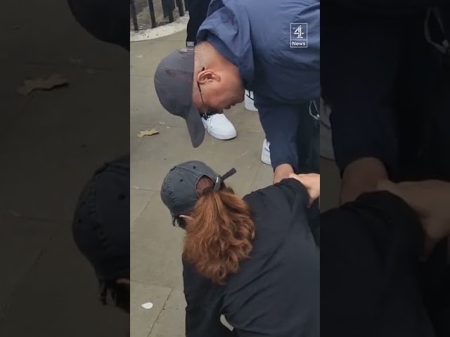 Tourist faints after being bitten by King's Guard horse