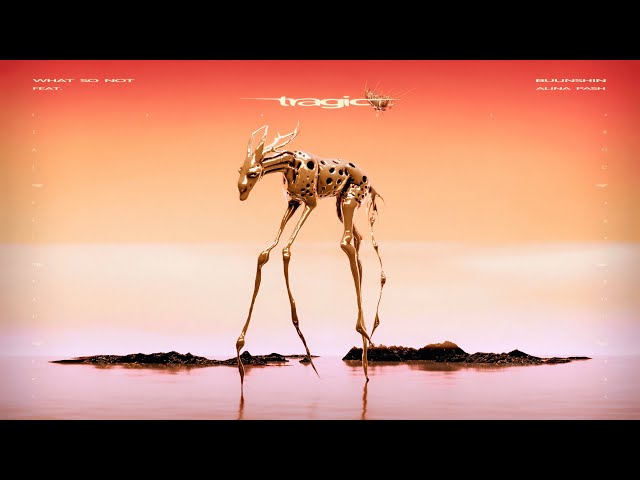 What So Not & Buunshin - Tragic (ft. Alina Pash) (Official Visualizer)