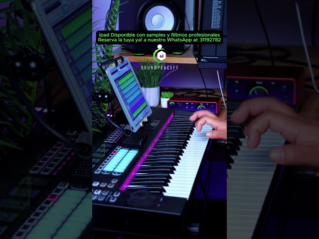 iPad Disponibles con más de 2000 Samples y más de 100 Ritmos Profesionales, a un Precio de Oferta!✅