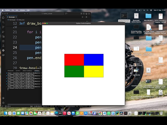Building a rectangle divided into four equal sections using Python Turtle.