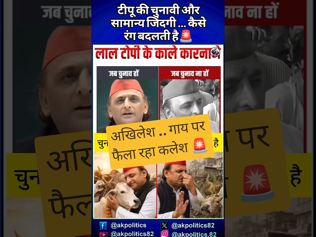 Akhilesh#cjp#bjpnews #bjp #modi #rahulgandhi #amitshah #narendramodi #cmyogi #pmmodi #modiji #abh...