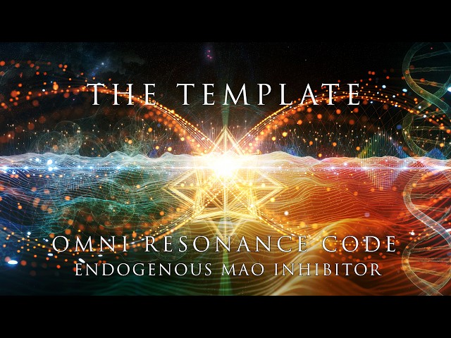 The Template - OMNI RESONANCE CODE - Part 1